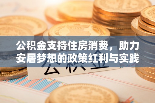 塔城公积金支持住房消费，助力安居梦想的政策红利与实践