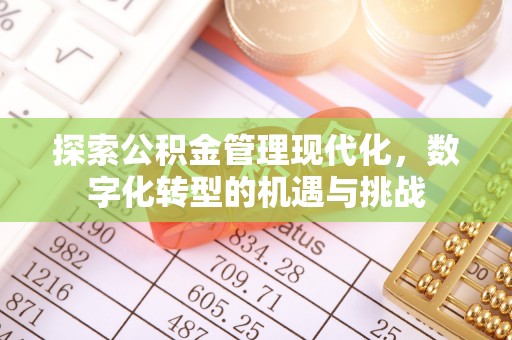 塔城探索公积金管理现代化，数字化转型的机遇与挑战