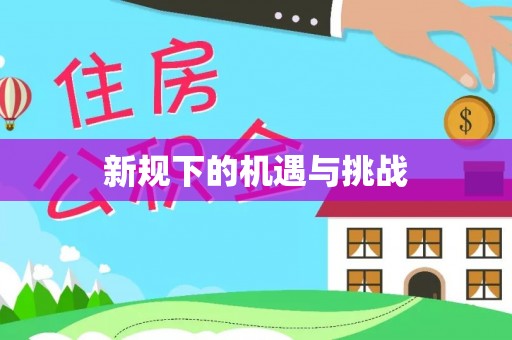塔城新规下的机遇与挑战