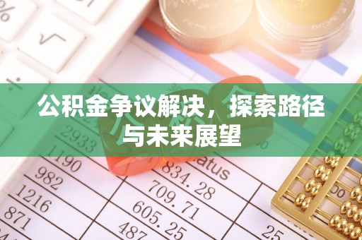塔城公积金争议解决，探索路径与未来展望