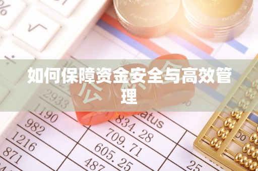 塔城如何保障资金安全与高效管理