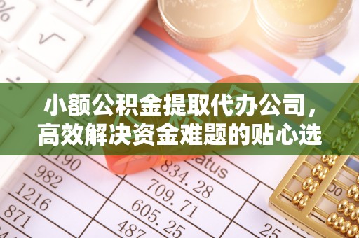 塔城小额公积金提取代办公司，高效解决资金难题的贴心选择