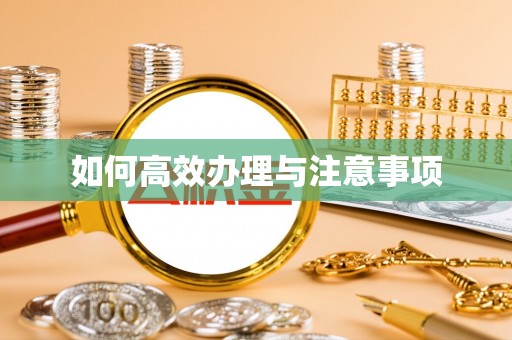 塔城如何高效办理与注意事项