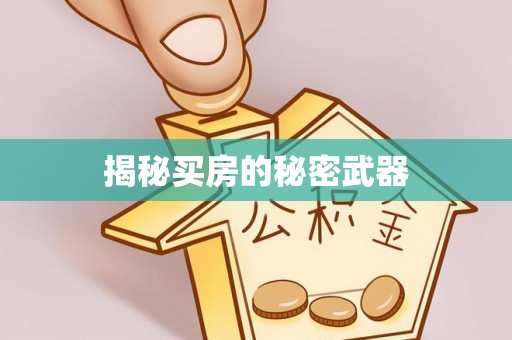 塔城揭秘买房的秘密武器