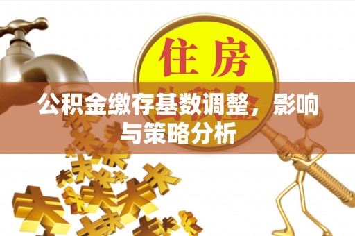 塔城公积金缴存基数调整，影响与策略分析