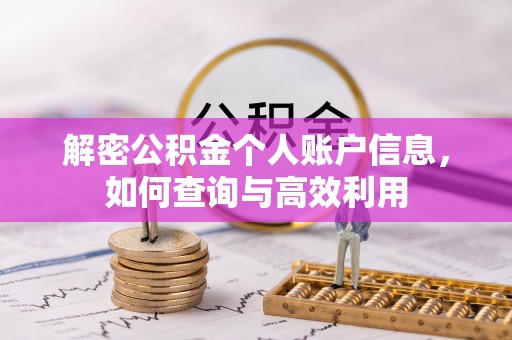 塔城解密公积金个人账户信息，如何查询与高效利用