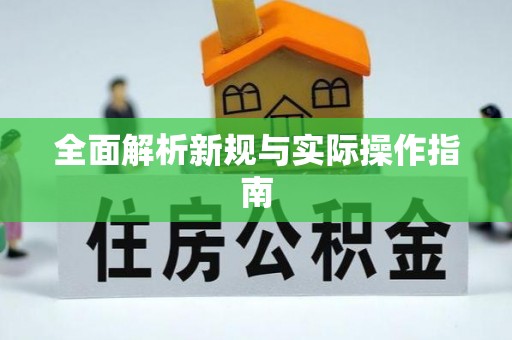 塔城全面解析新规与实际操作指南