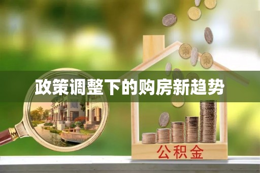 塔城政策调整下的购房新趋势