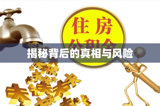 塔城揭秘背后的真相与风险