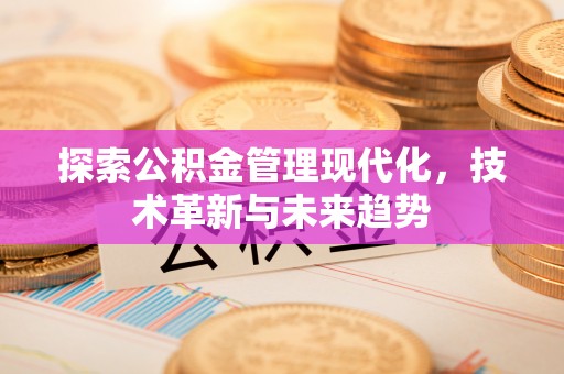 塔城探索公积金管理现代化，技术革新与未来趋势
