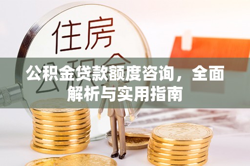 塔城公积金贷款额度咨询，全面解析与实用指南