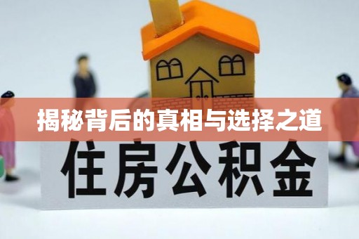 塔城揭秘背后的真相与选择之道