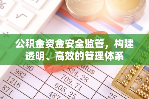 塔城公积金资金安全监管，构建透明、高效的管理体系