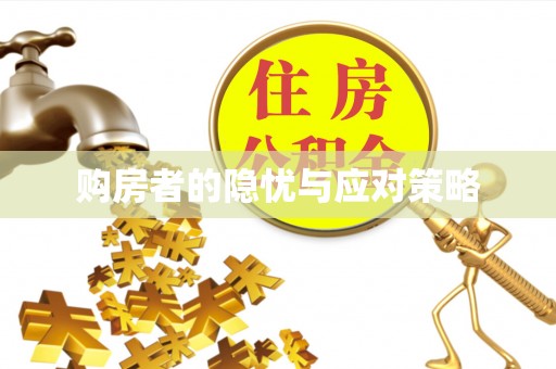 塔城购房者的隐忧与应对策略