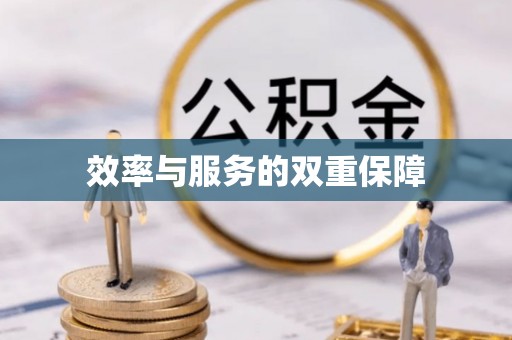 塔城效率与服务的双重保障