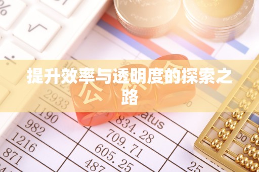 塔城提升效率与透明度的探索之路