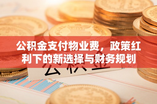 塔城公积金支付物业费，政策红利下的新选择与财务规划