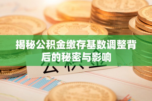 塔城揭秘公积金缴存基数调整背后的秘密与影响