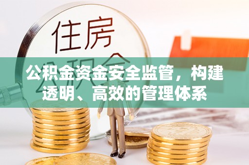 塔城公积金资金安全监管，构建透明、高效的管理体系