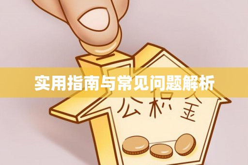 塔城实用指南与常见问题解析