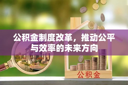 塔城公积金制度改革，推动公平与效率的未来方向