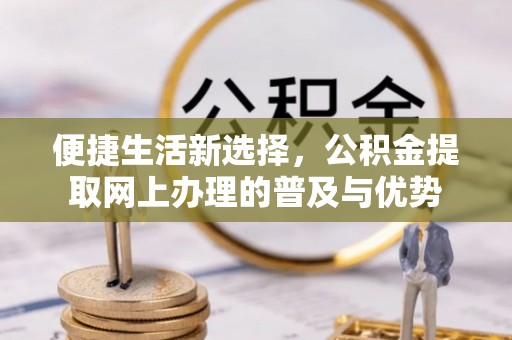 塔城便捷生活新选择，公积金提取网上办理的普及与优势