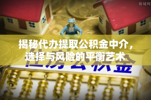 塔城揭秘代办提取公积金中介，选择与风险的平衡艺术