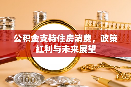 塔城公积金支持住房消费，政策红利与未来展望