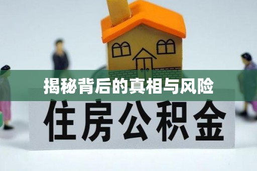 塔城揭秘背后的真相与风险