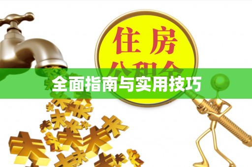 塔城全面指南与实用技巧