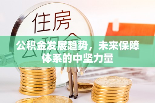 塔城公积金发展趋势，未来保障体系的中坚力量