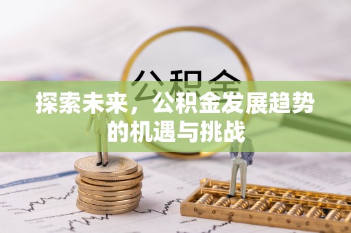 塔城探索未来，公积金发展趋势的机遇与挑战