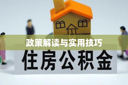 塔城政策解读与实用技巧