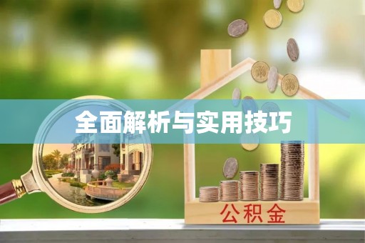 塔城全面解析与实用技巧