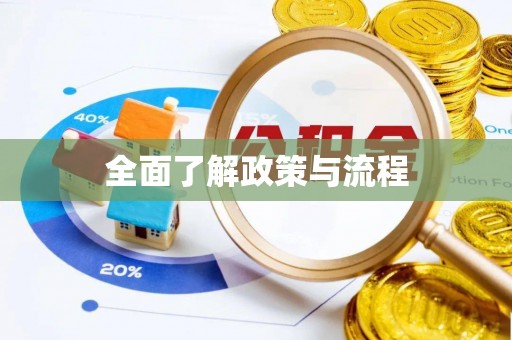 塔城全面了解政策与流程