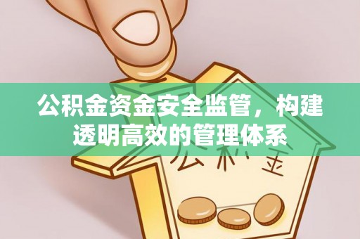 塔城公积金资金安全监管，构建透明高效的管理体系