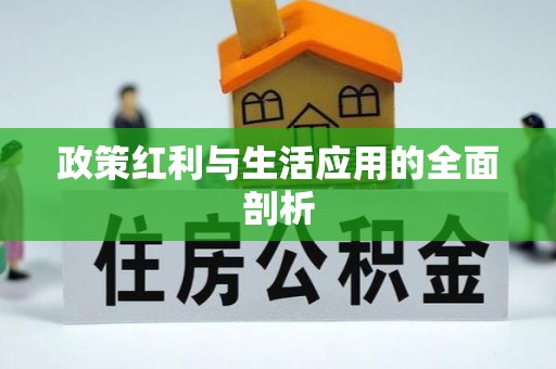 塔城政策红利与生活应用的全面剖析