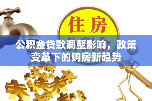 塔城公积金贷款调整影响，政策变革下的购房新趋势