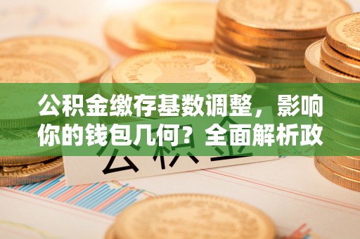 塔城公积金缴存基数调整，影响你的钱包几何？全面解析政策与实际收益