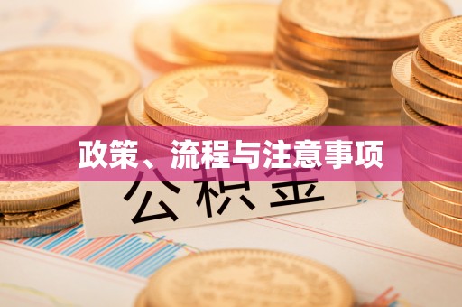 塔城政策、流程与注意事项