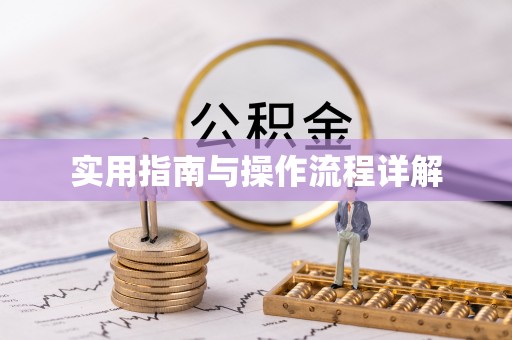 塔城实用指南与操作流程详解