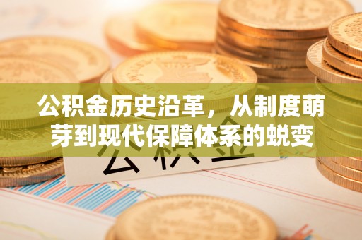 塔城公积金历史沿革，从制度萌芽到现代保障体系的蜕变