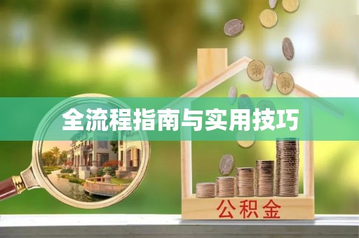 塔城全流程指南与实用技巧
