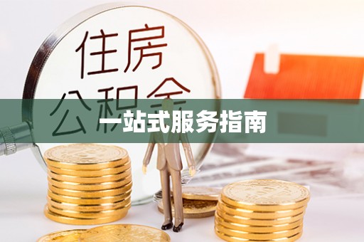塔城一站式服务指南