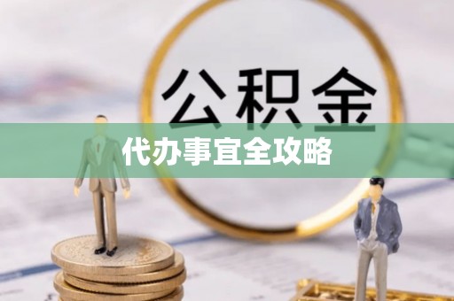 塔城代办事宜全攻略