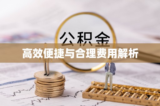 塔城高效便捷与合理费用解析