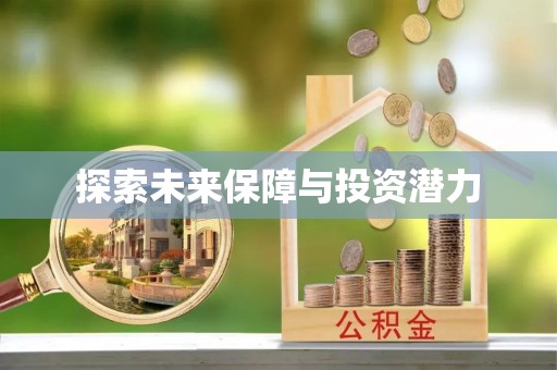 塔城探索未来保障与投资潜力