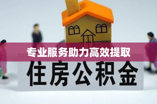 塔城专业服务助力高效提取