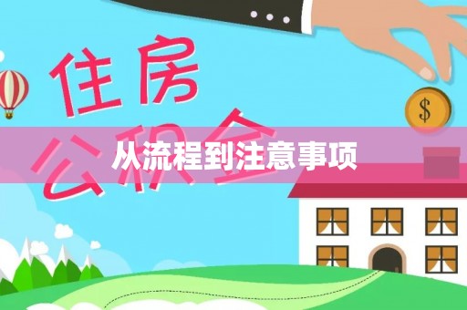 塔城从流程到注意事项