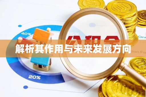 塔城解析其作用与未来发展方向